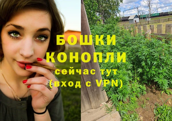 mdma Дмитриев
