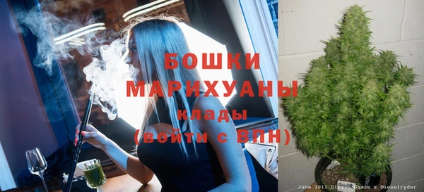 не бодяженный Дмитров