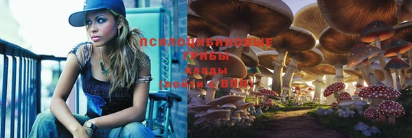 mdma Дмитриев