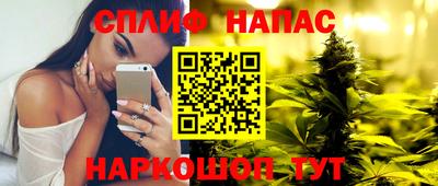 СК Заводоуковск