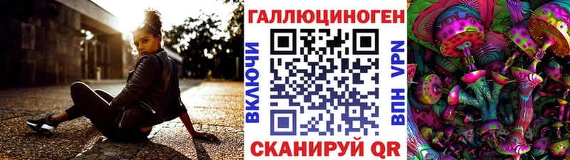 купить Ишимбай Галлюциногенные грибы GOLDEN TEACHER